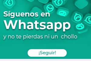 Whatsapp Megasur