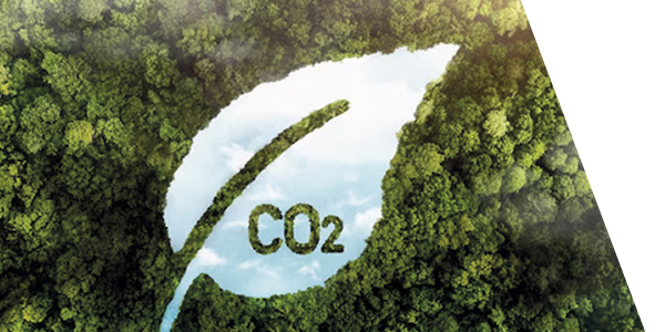 Gestion medio ambiental Política de Calidad y Gestión ambiental